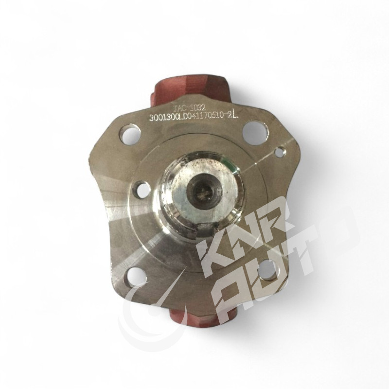 Кулак поворотный левый JAC N56-3001300LD04102